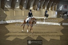 ref. photo 3505602