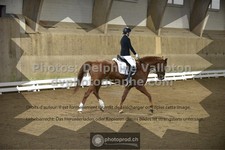 ref. photo 3505608