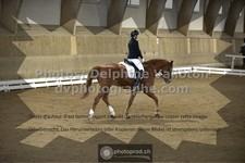 ref. photo 3505609