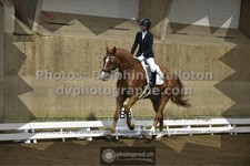 ref. photo 3505610