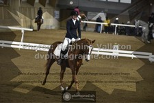 ref. photo 3505618
