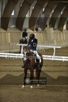ref. photo 3505622