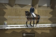 ref. photo 3505635