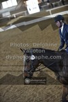 ref. photo 3505643