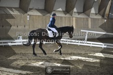 ref. photo 3505649