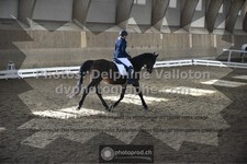 ref. photo 3505654