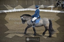 ref. photo 3505658