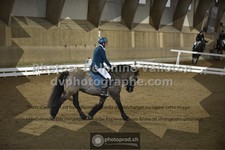 ref. photo 3505669