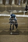 ref. photo 3505672