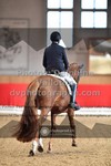 ref. photo 3505681