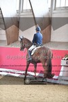 ref. photo 3505691