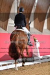 ref. photo 3505699
