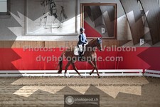 ref. photo 3505701