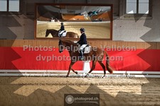 ref. photo 3505707