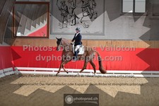 ref. photo 3505708