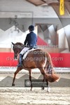 ref. photo 3505711