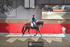 ref. photo 3505713
