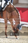 ref. photo 3505722