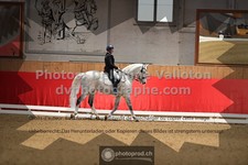 ref. photo 3505733