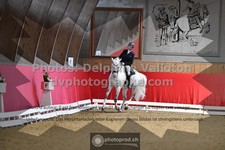 ref. photo 3505751