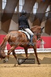 ref. photo 3505797