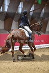 ref. photo 3505800