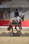 ref. photo 3505801