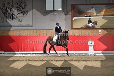 ref. photo 3505809