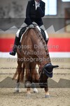 ref. photo 3505818