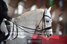 ref. photo 3505851