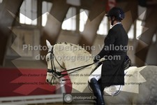 ref. photo 3505895