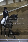 ref. photo 3505980