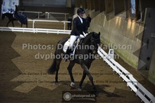 ref. photo 3505988