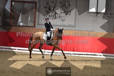 ref. photo 3506004
