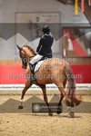 ref. photo 3506009