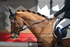 ref. photo 3506012