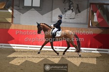 ref. photo 3506015