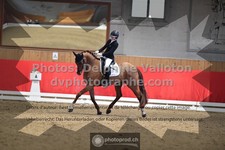 ref. photo 3506016