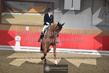 ref. photo 3506017