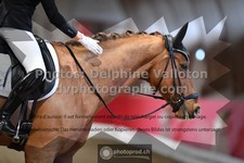 ref. photo 3506042
