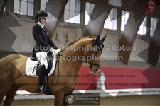 ref. photo 3506047