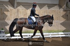 ref. photo 3506075