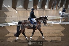 ref. photo 3506079