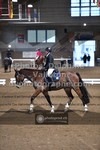 ref. photo 3506084