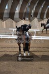 ref. photo 3506090
