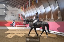 ref. photo 3506096