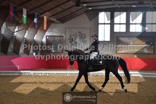 ref. photo 3506097