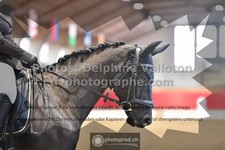 ref. photo 3506108