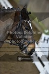 ref. photo 3506115