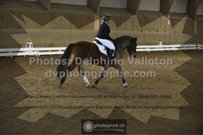 ref. photo 3506130